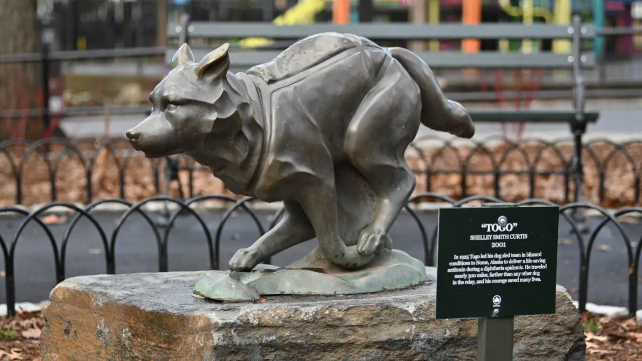 Disney+ celebrates Togo with new plaque honoring hero sled dog at New York City’s Seward Park