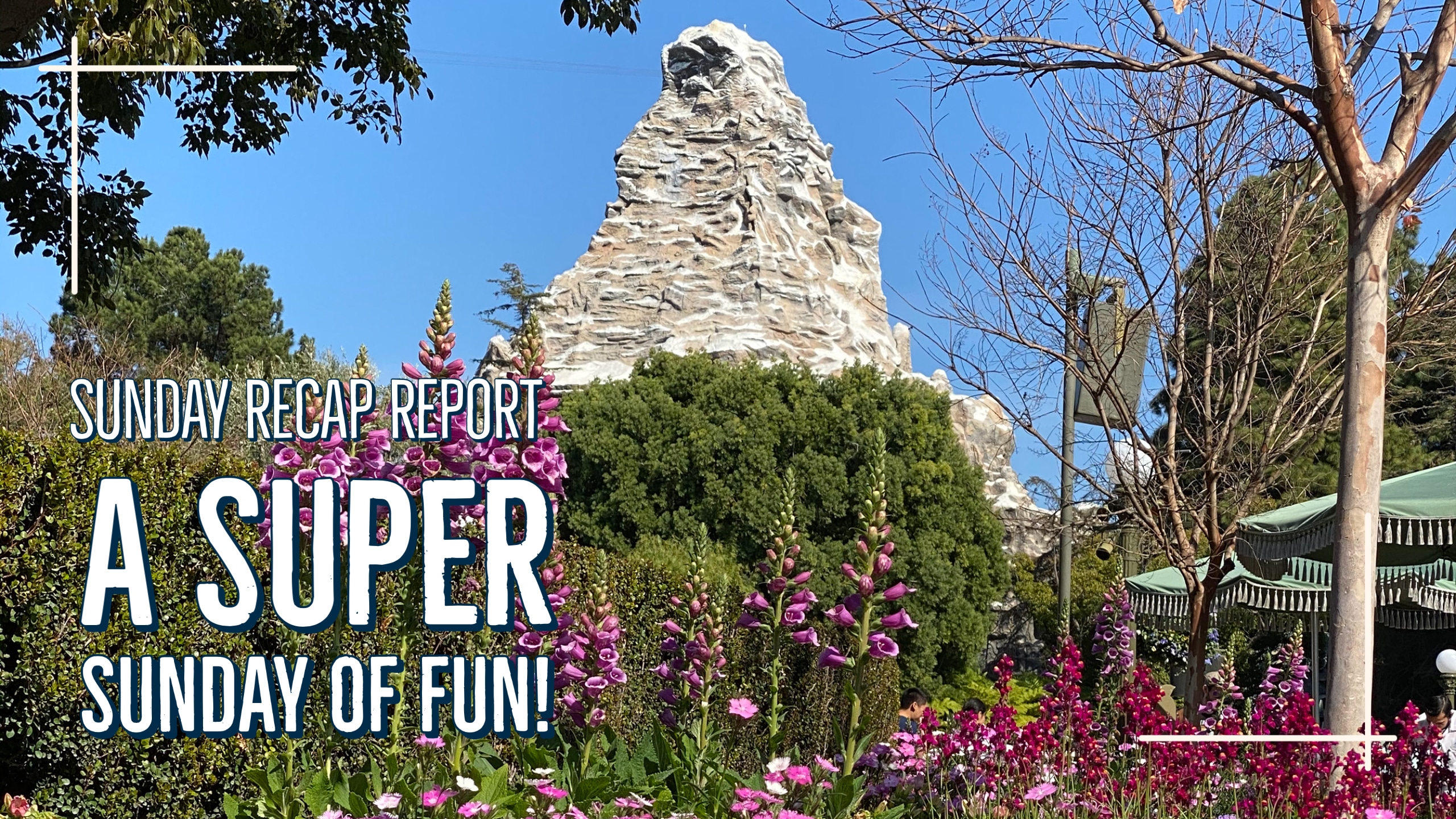 Sunday Recap Report – A Super Sunday of Fun!