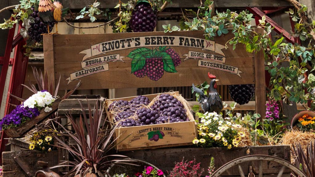 Knott's Berry Farm Boysenberry Festival