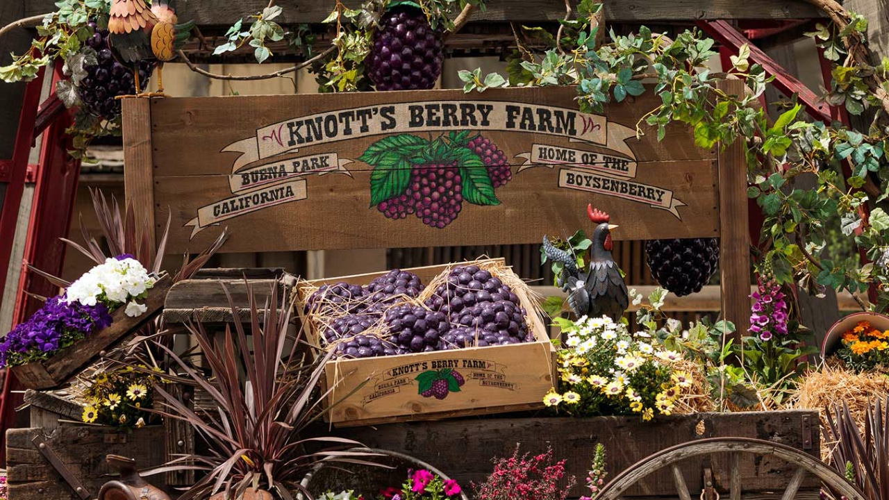 Knott’s Boysenberry Festival Specialty Items Announced