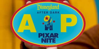 Special Gift for Disneyland Annual Passholders at Disneyland After Dark Pixar Nite