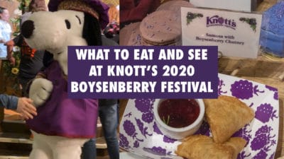 What You Should Eat and Do at the Knott’s Berry Farm 2020 Boysenberry Festival