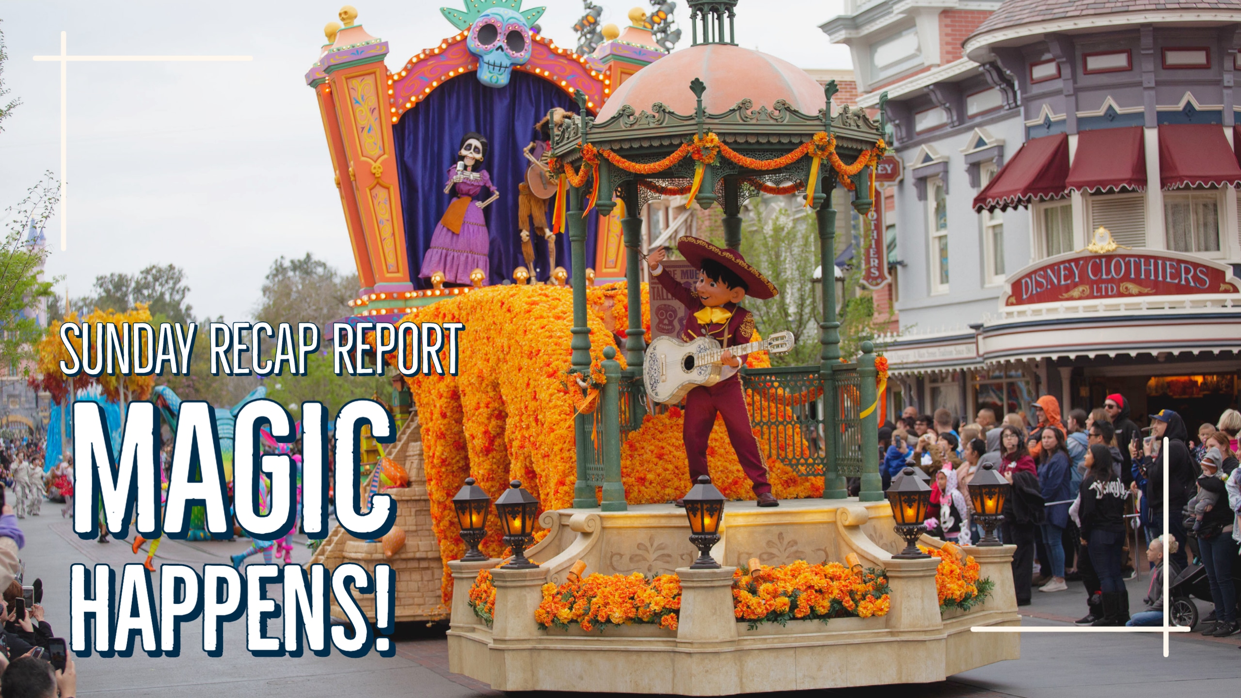Sunday Recap Report – Magic Happens!