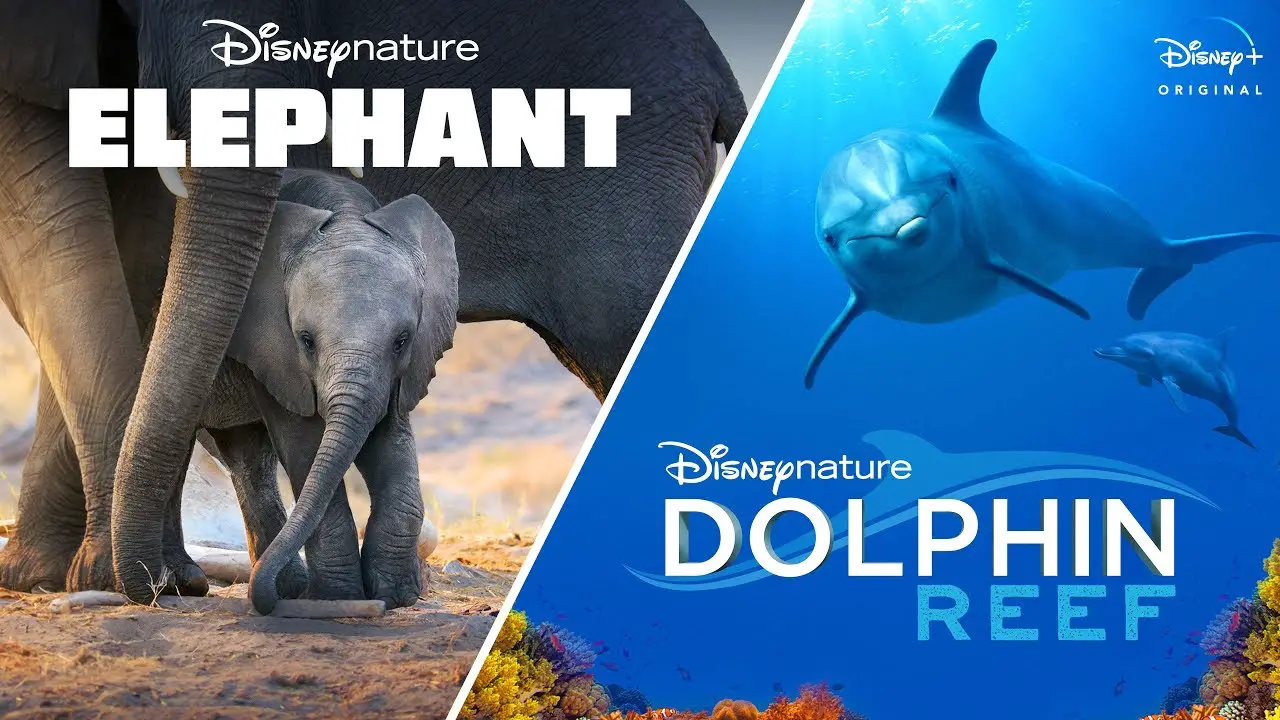 Disney+ to Debut Disneynature’s Elephant with Meghan Markle & Dolphin Reef with Natalie Portman to Honor Earth Month
