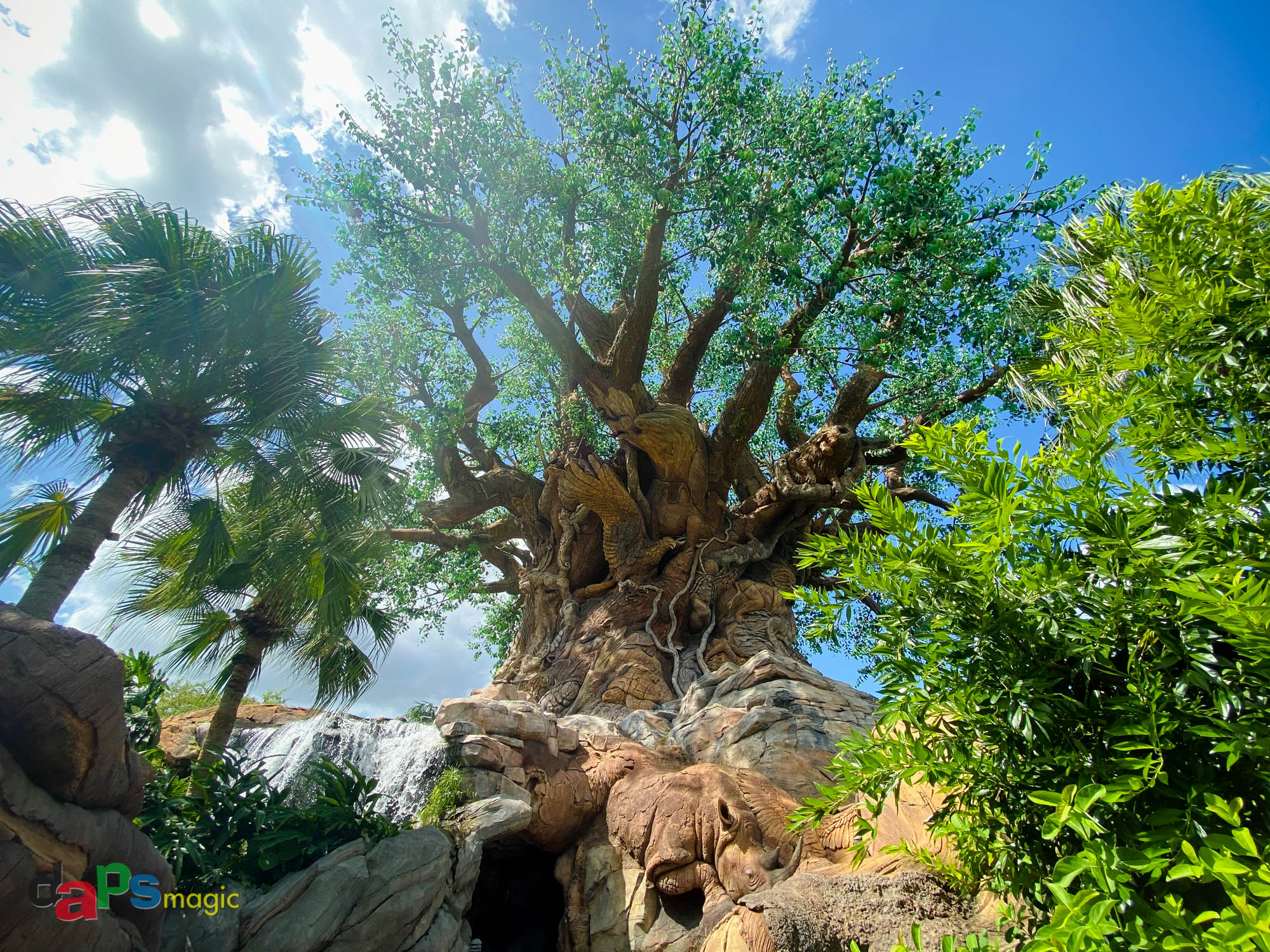 Disney's Animal Kingdom - Walt Disney World – DAPS MAGIC