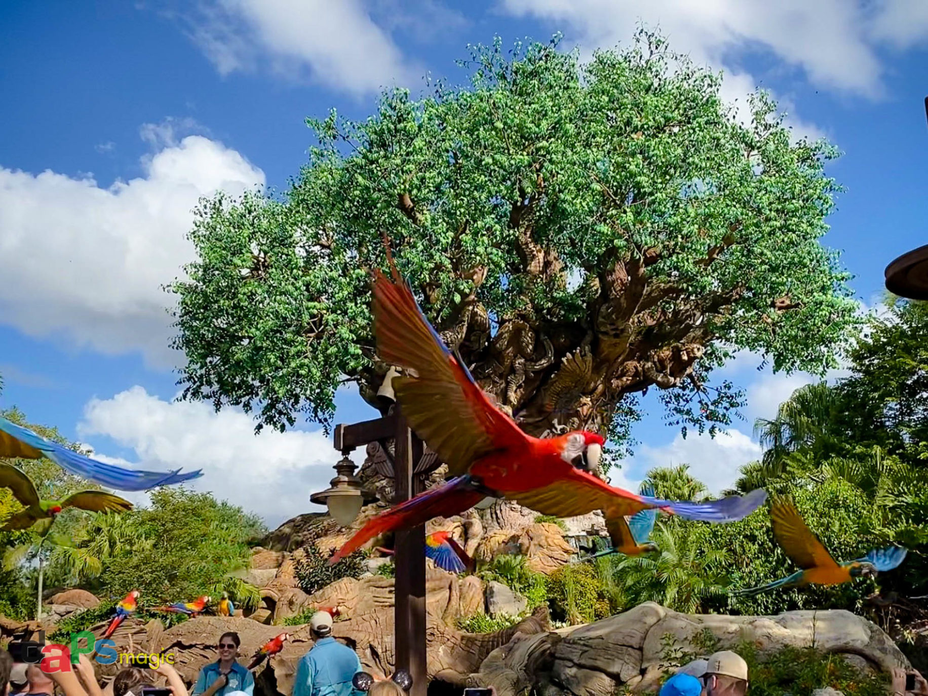 The Magic of Nature Found in Disney Parks and Beyond on Earth Day!