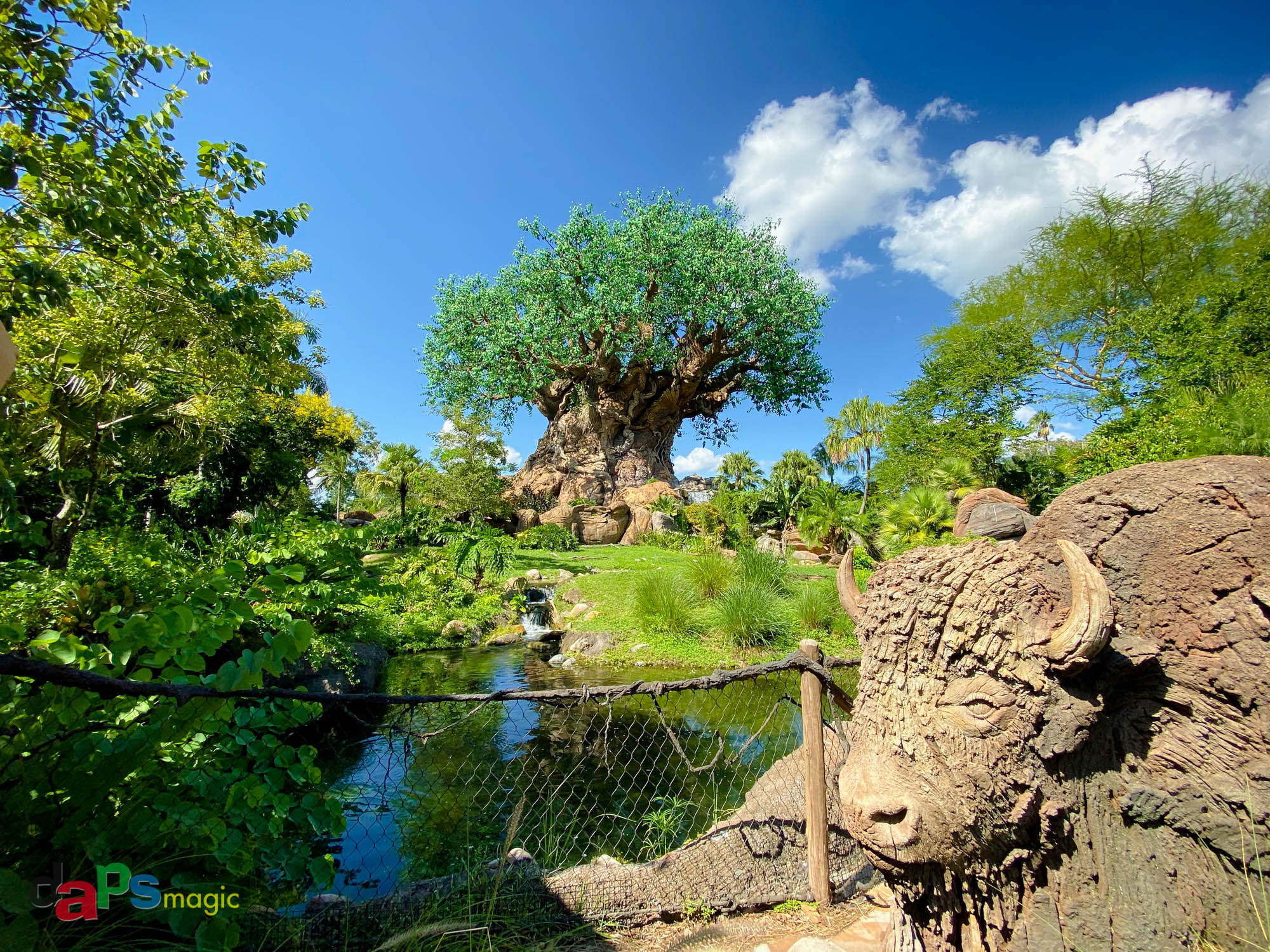 Disney's Animal Kingdom - Walt Disney World – DAPS MAGIC