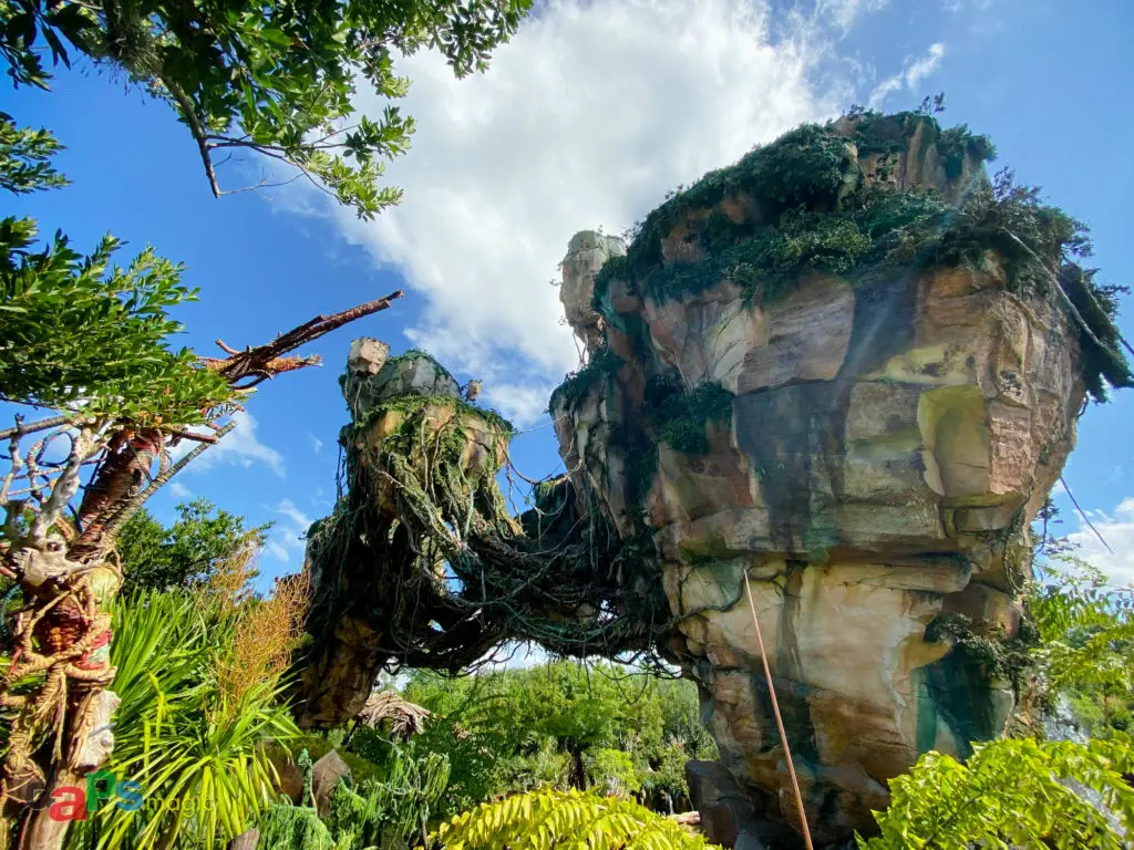 Disney's Animal Kingdom - Walt Disney World – DAPS MAGIC