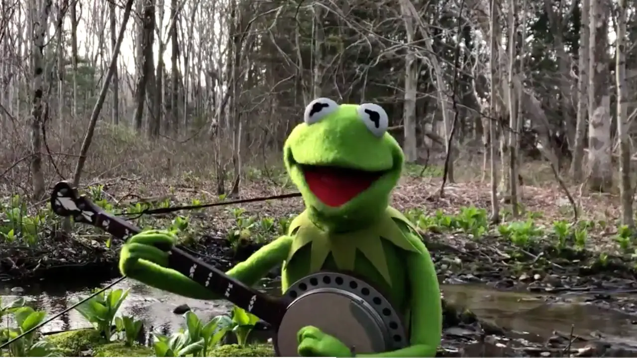 Kermit Shares Magic From Home With Performance of Rainbow Connection