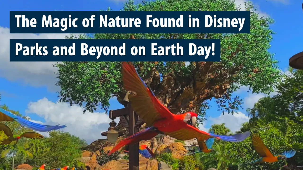 The Magic of Nature Found in Disney Parks and Beyond on Earth Day!