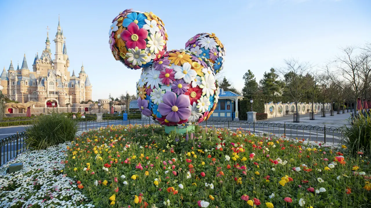 Shanghai Disneyland Reopening Day