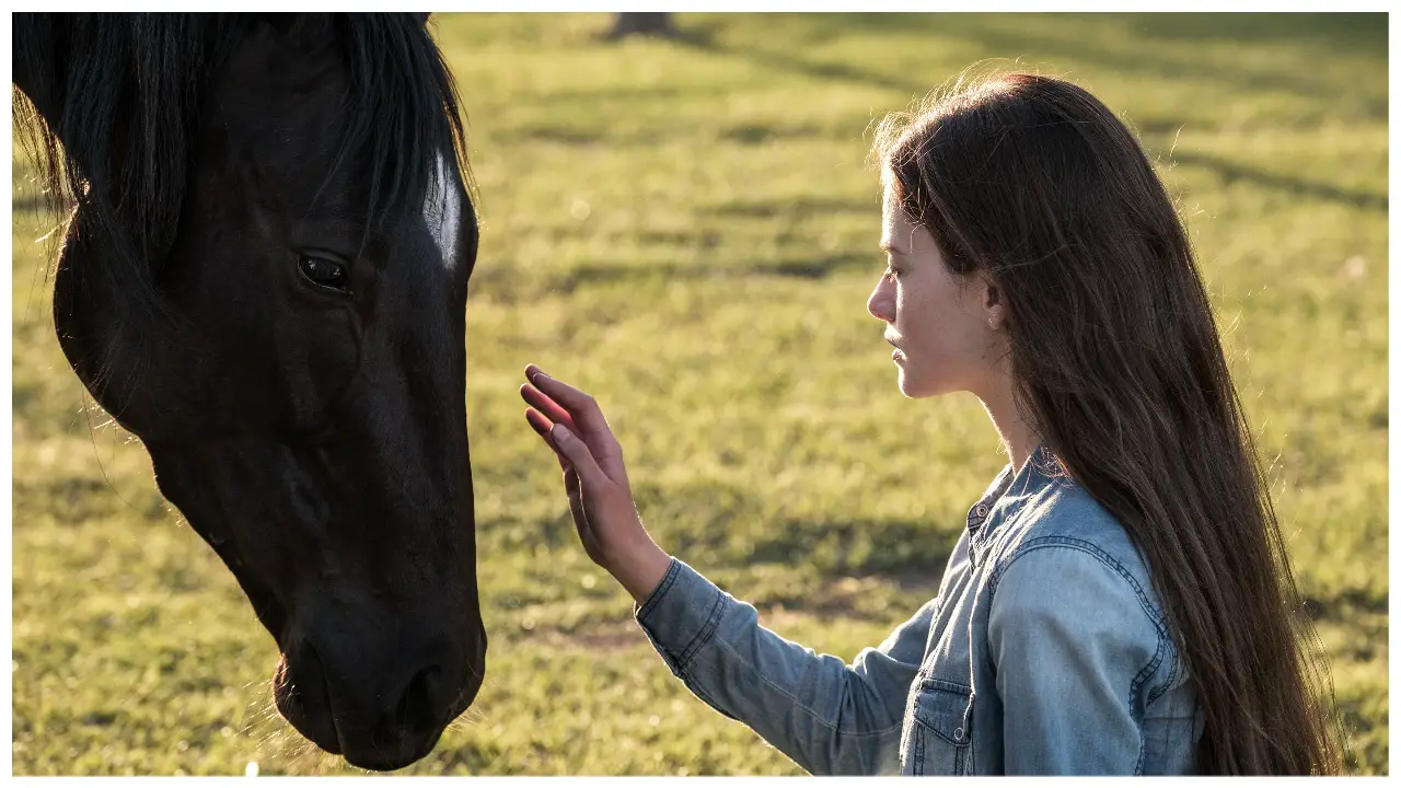 Black Beauty Coming to Disney+ with Kate Winslet and Mackenzie Foy