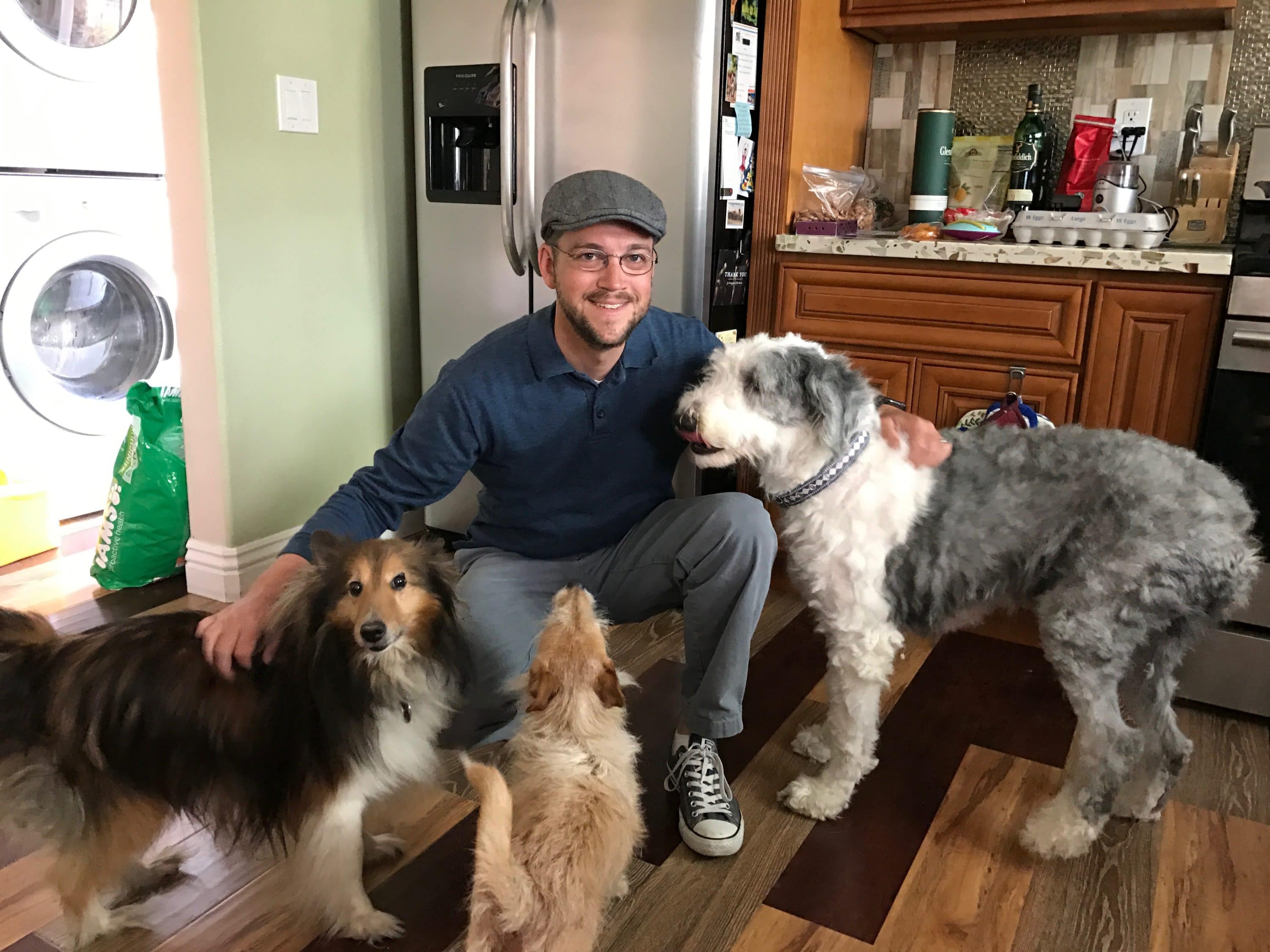 Mr. DAPs and Dogs - International Dog Day