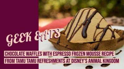 Chocolate Waffles with Espresso Frozen Mousse From Tamu Tamu Refreshments at Disney’s Animal Kingdom – GEEK EATS Disney Recipe