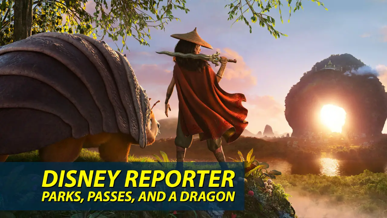 Parks, Passes, and a Dragon – DISNEY Reporter