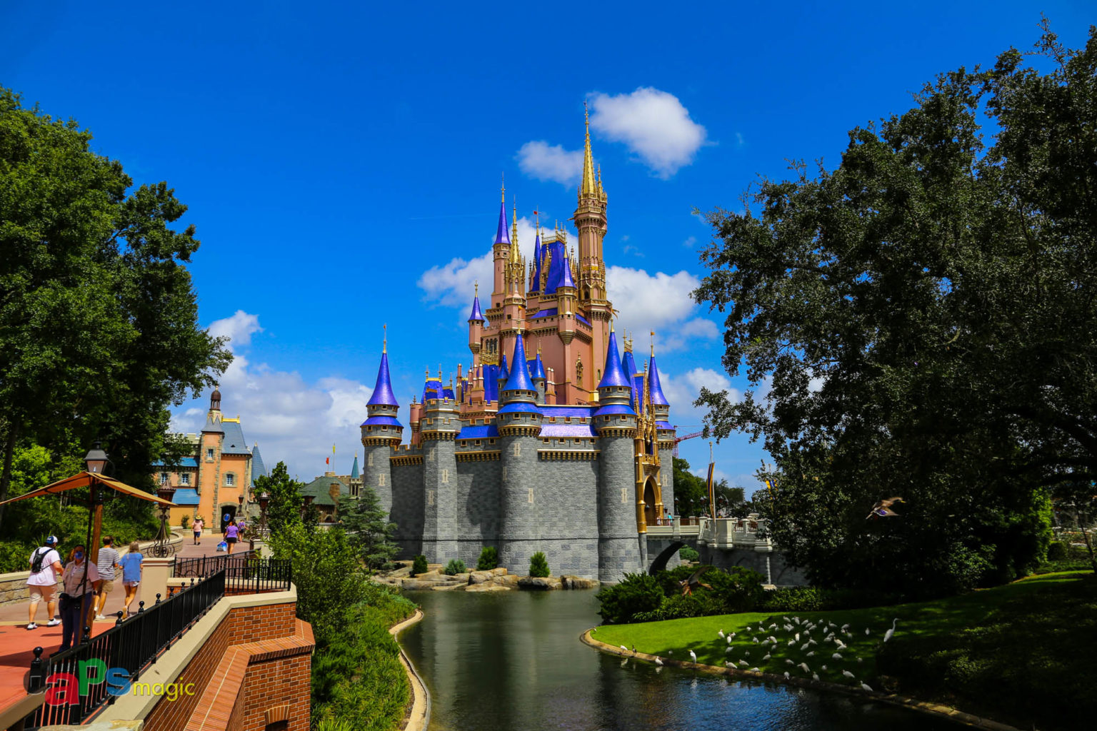 Thoughts On The Pros And Cons Of Walt Disney World Resort After A ...