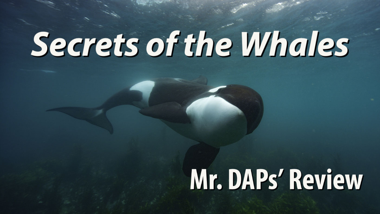 Secrets of the Whales – Mr. DAPs Review