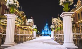 Some of the Most Unique Wedding Venues from Disney Fairy Tale Weddings –  And How Much They Cost ~ Daps Magic