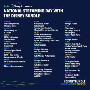 Disney Kicks Off Streaming Day with Drone Show Celebrating The Disney ...