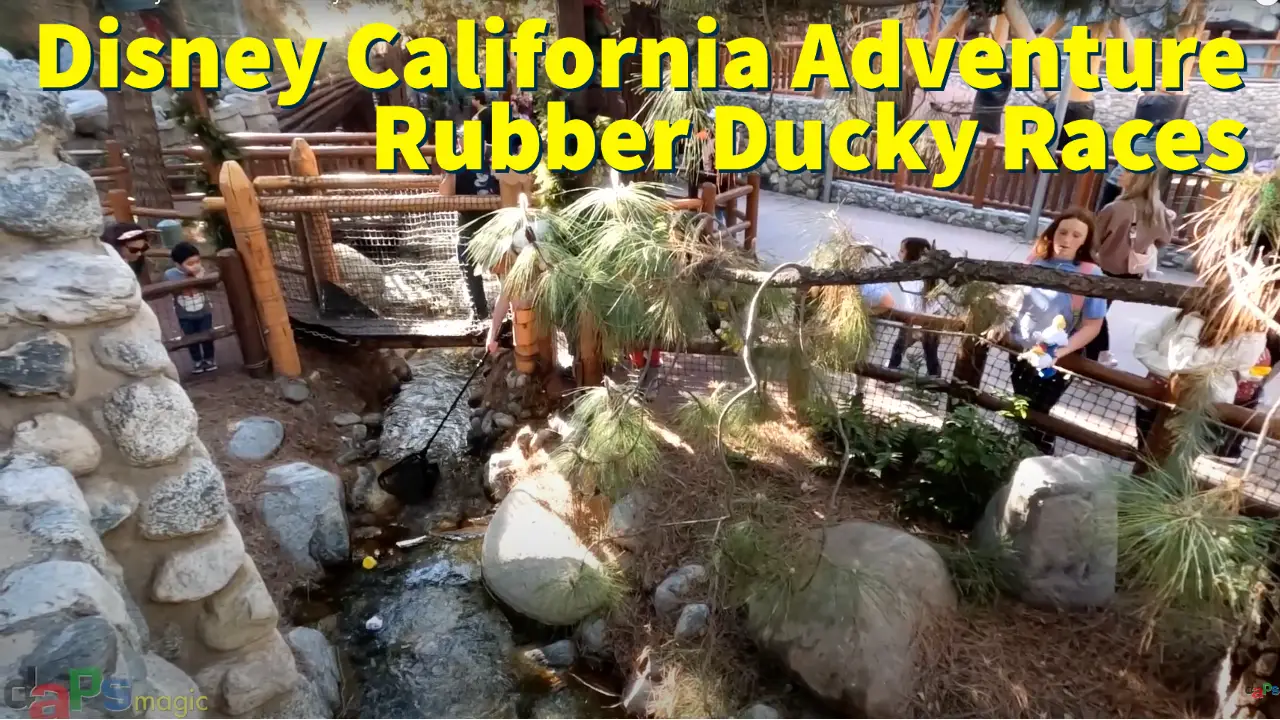 Rubber Ducky Races at Disney California Adventure Add Extra Magic