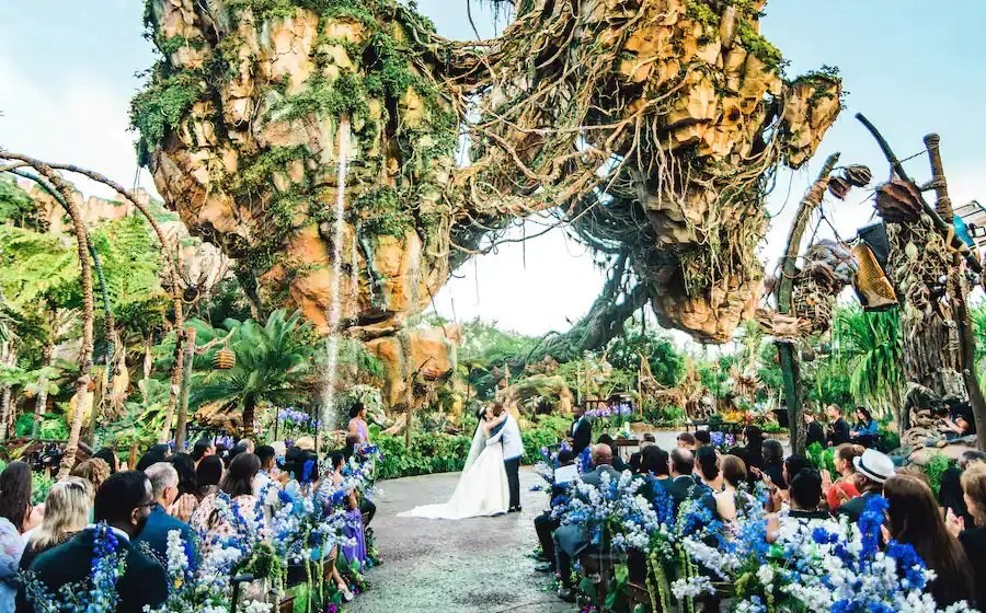 Disney Fairytale Weddings