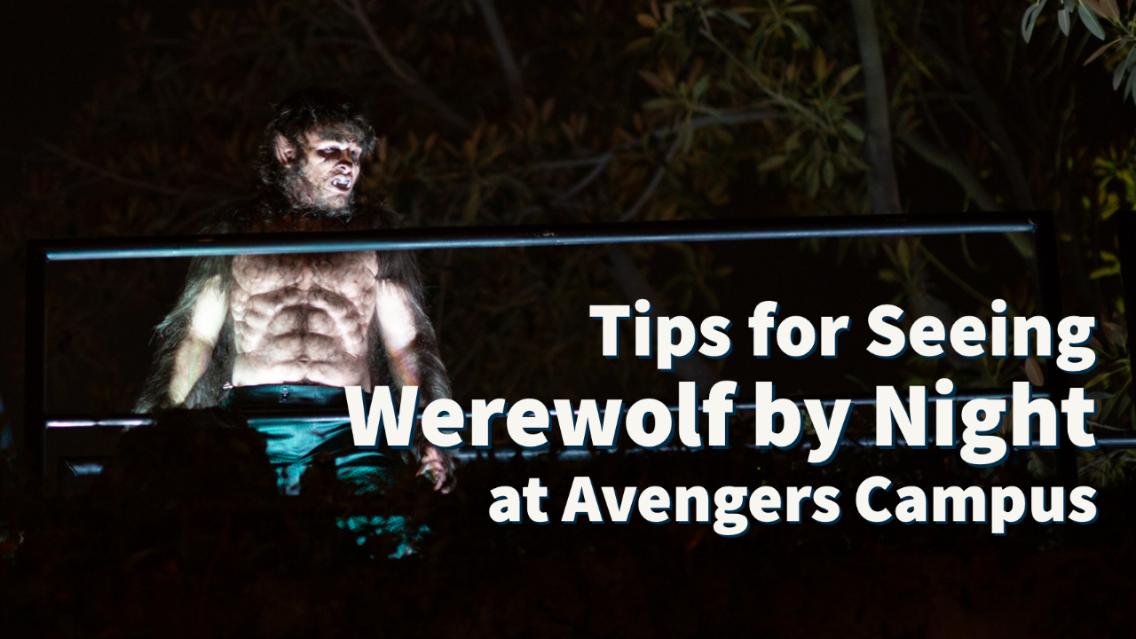 Tips for Seeing Werewolf by Night at Avengers Campus in Disney California Adventure