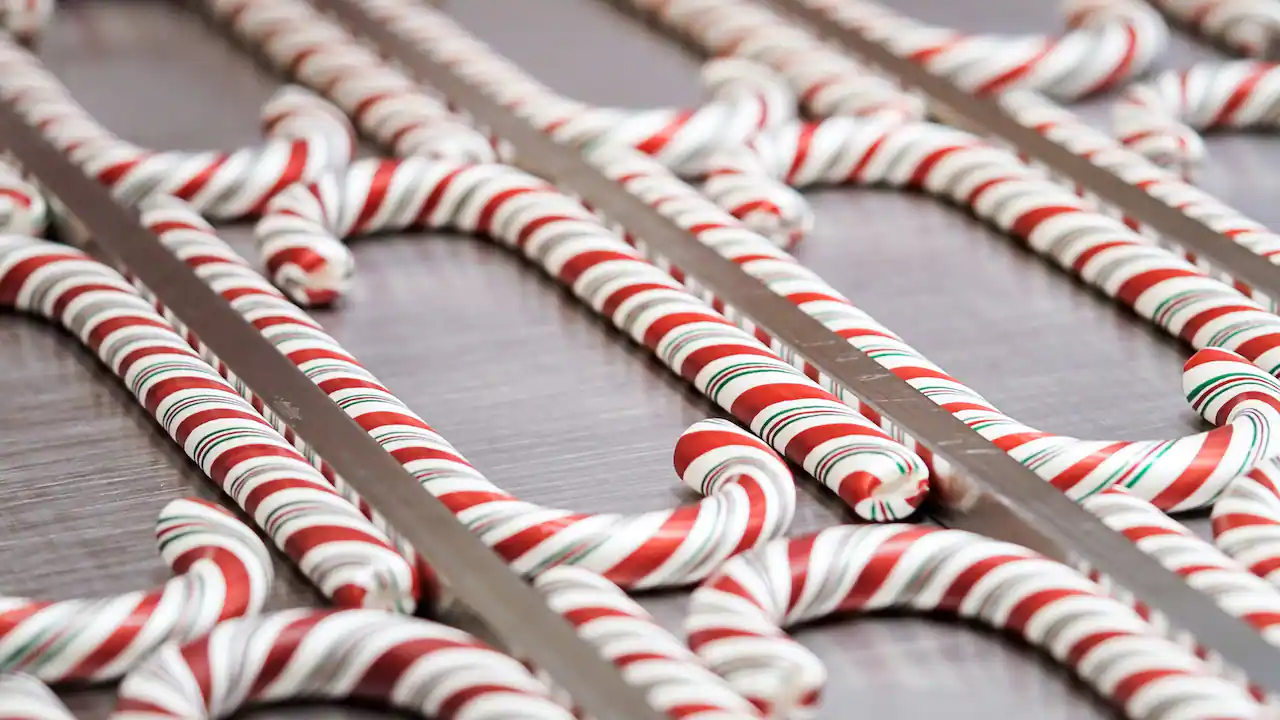 Disneyland Resort Candy Canes