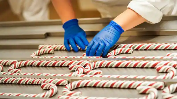 Disneyland Resort Candy Canes