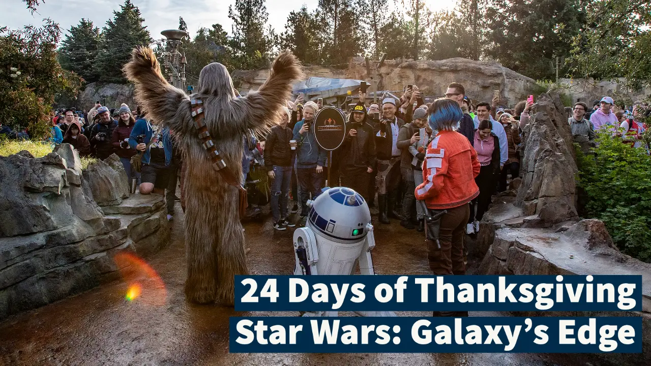 Day Fourteen: Star Wars: Galaxy’s Edge – 24 Days of Thanksgiving