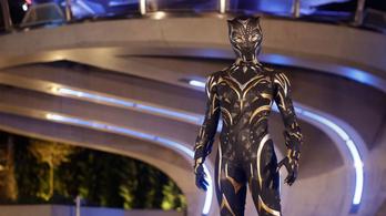 “Black Panther: Wakanda Forever” Celebrated at Disneyland Paris With New Experiences  and Merchandise ~ Daps Magic