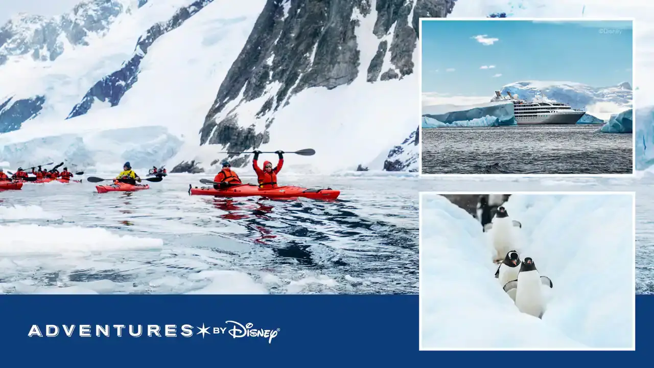 Join Film Producer Roy Conli and Visit Penguins and Antarctica with Adventures by Disney