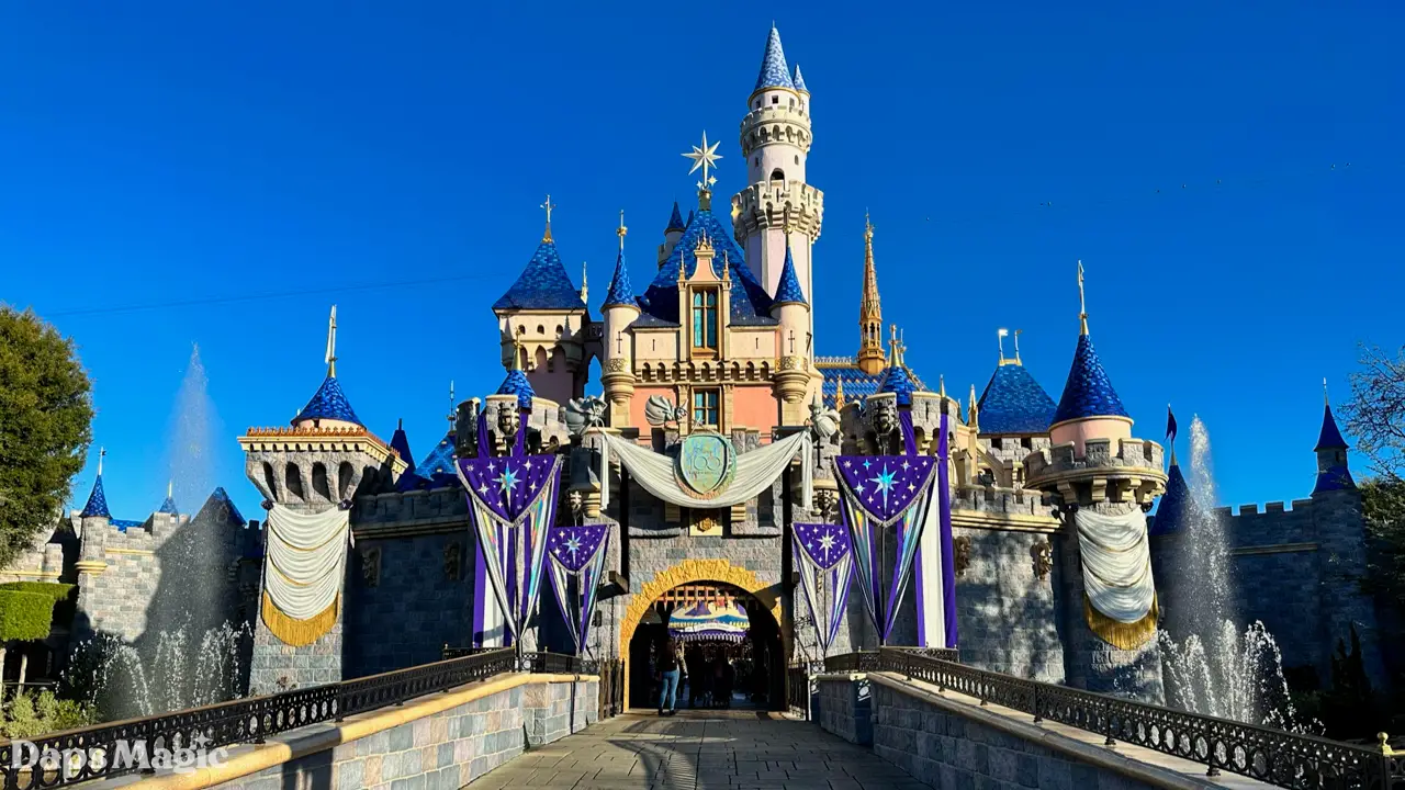 Sleeping Beauty Castle