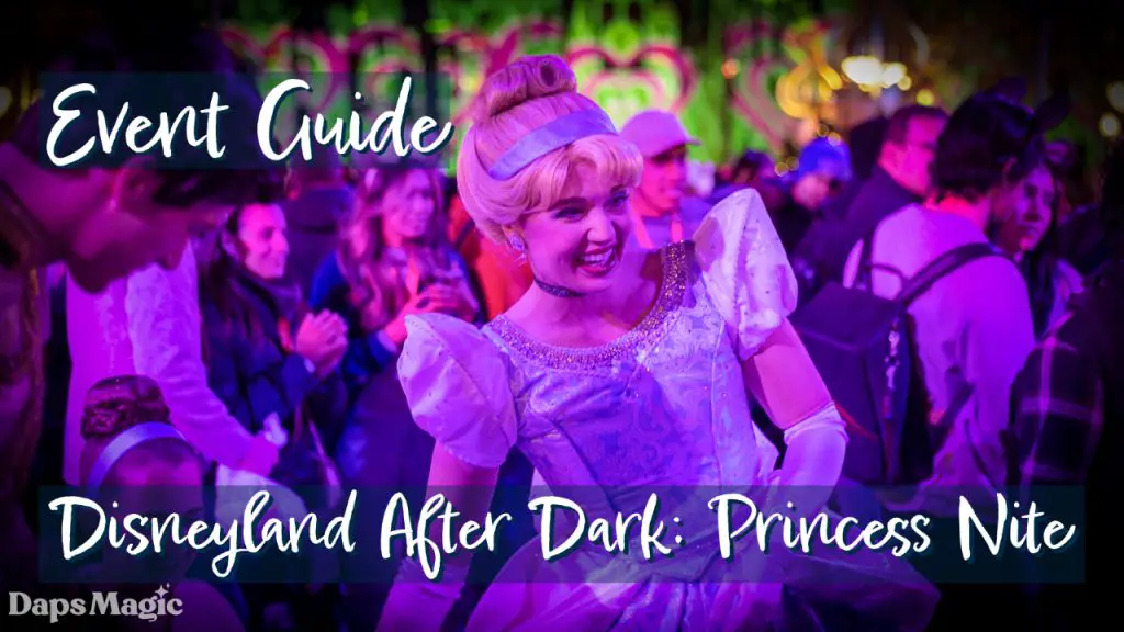 Disneyland After Dark Princess Nite Guide