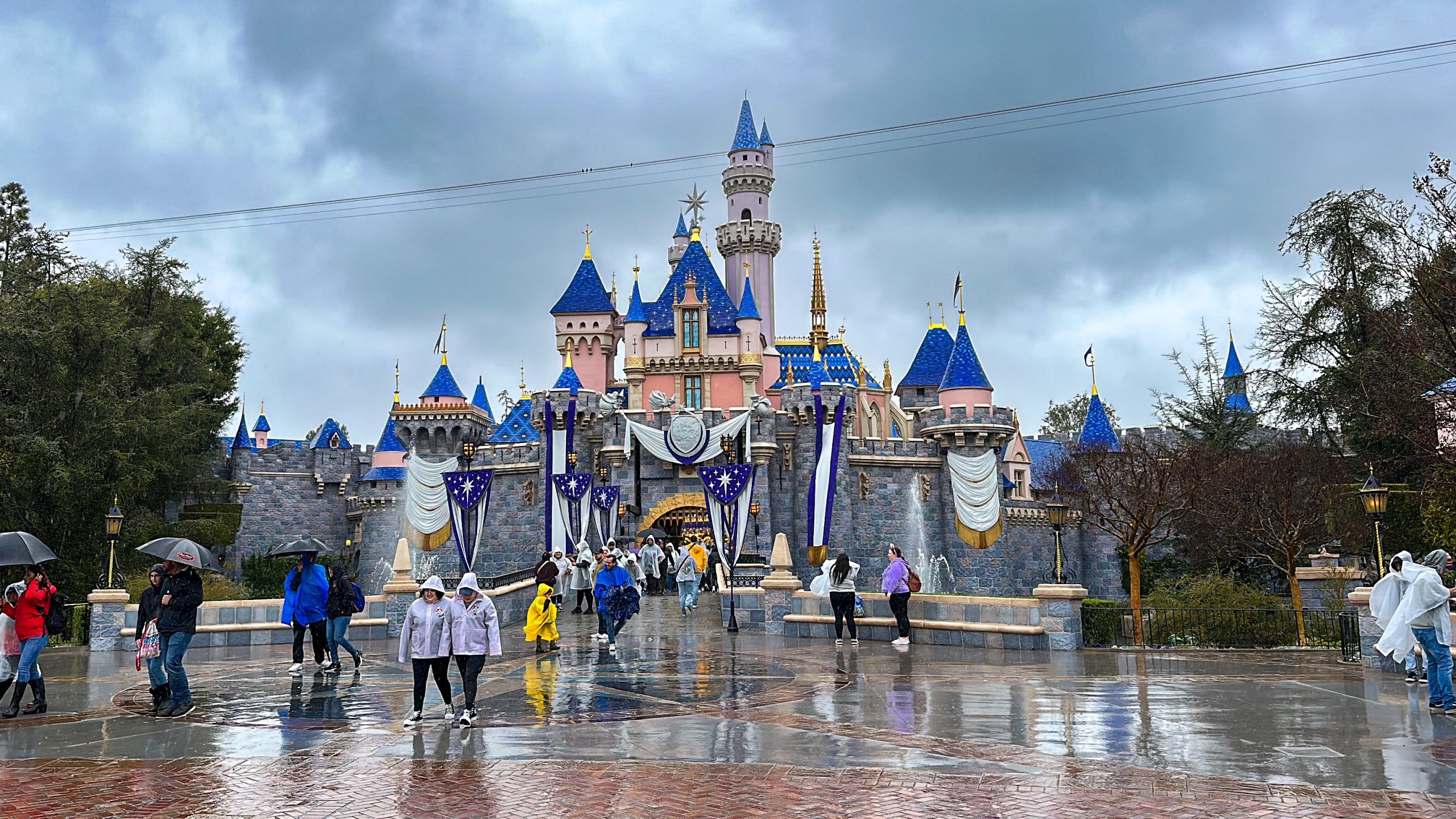 Magic Happens Doesn’t Happen as Rain Pours Down at Disneyland Resort