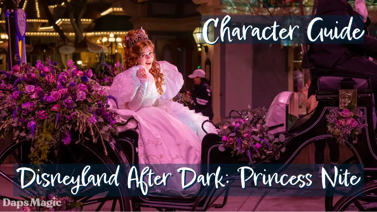 Disneyland After Dark: Princess Nite Character Guide