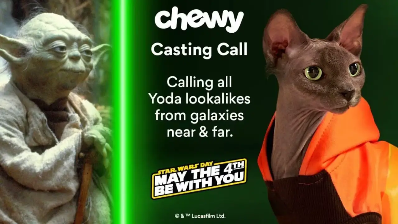 Chewy is Searching for Yoda Pet Look-Alike