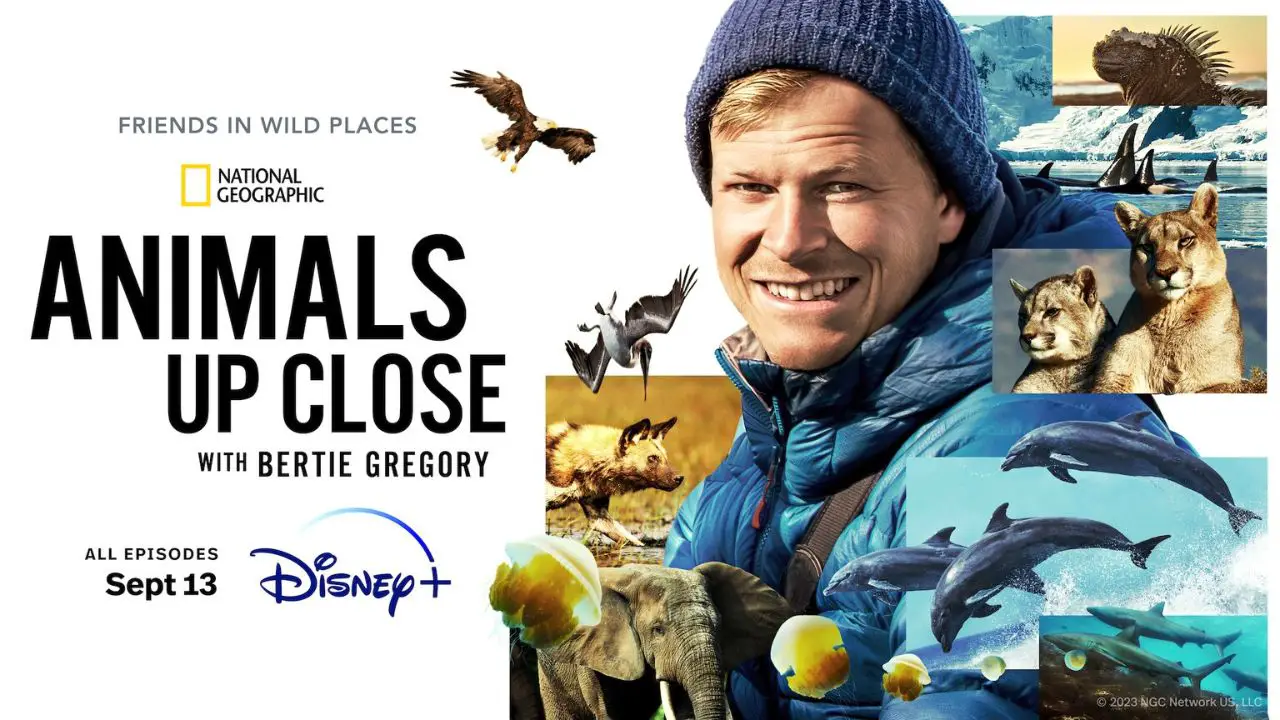 National Geographic Explorer And Award-Winning Filmmaker Bertie Gregory Takes Viewers To Remote Corners Of Our Planet To Witness The Most Astonishing, Never Before Seen Wildlife Moments In Animals Up Close With Bertie Gregory