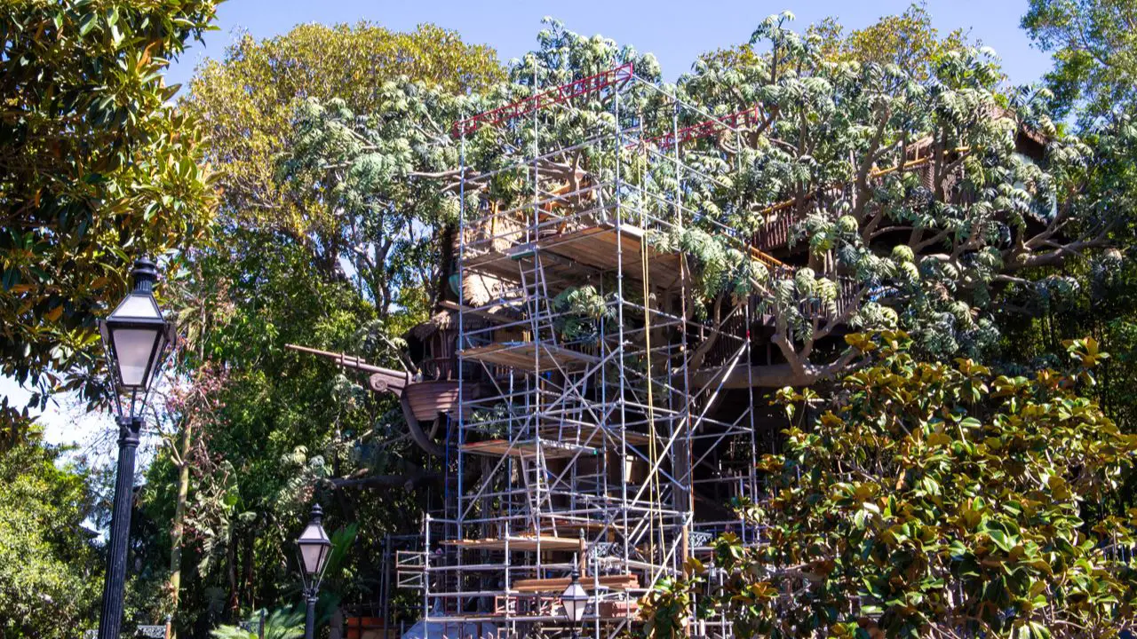 Adventureland Treehouse Construction - August 27, 2023 - Disneyland