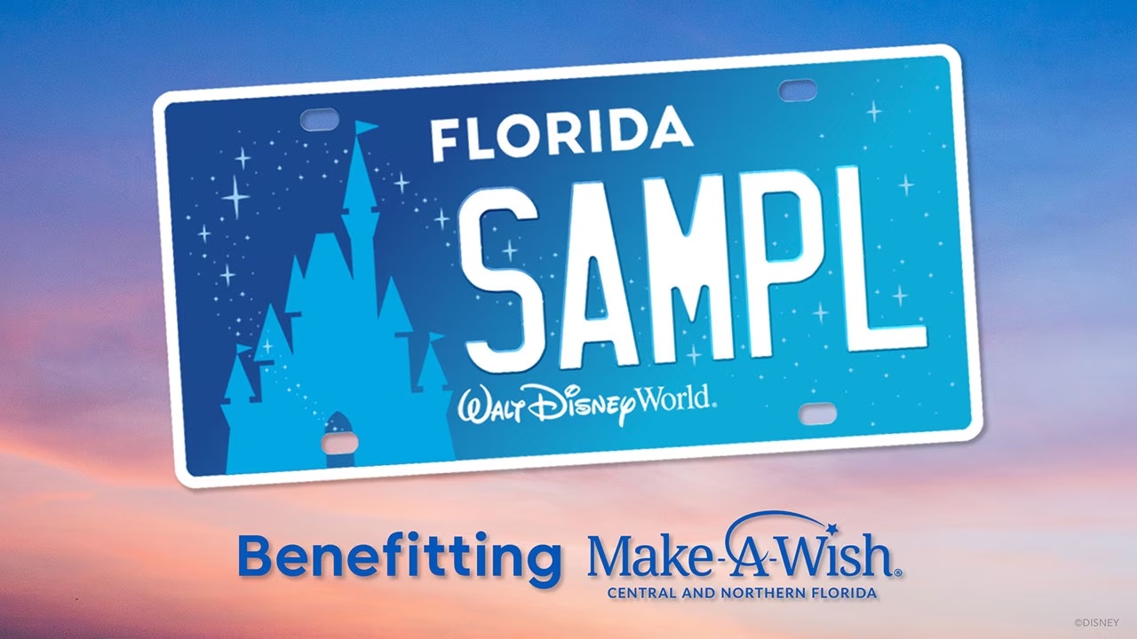 Florida Disney License Plate