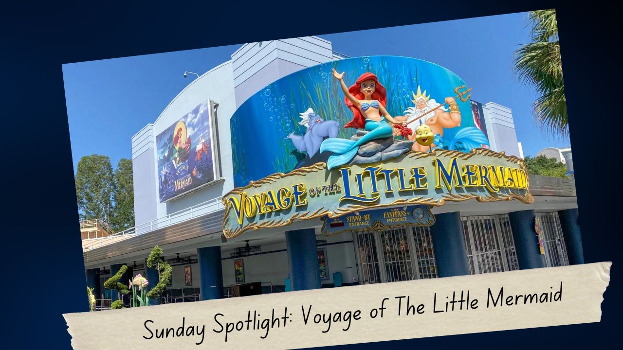 Sunday Spotlight: Voyage of The Little Mermaid