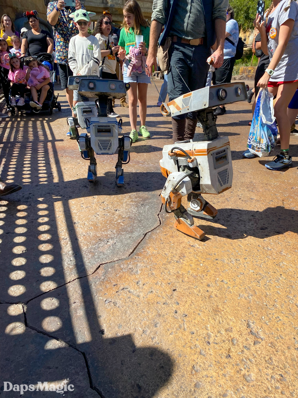 VIDEOS/PHOTOS New Droids Arrive at Disneyland's Star Wars Galaxy's Edge