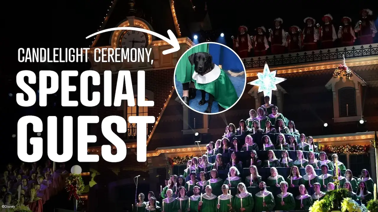 Disneyland Candlelight Ceremony “Paw-sitive” Experience For Cast Member and Service Dog