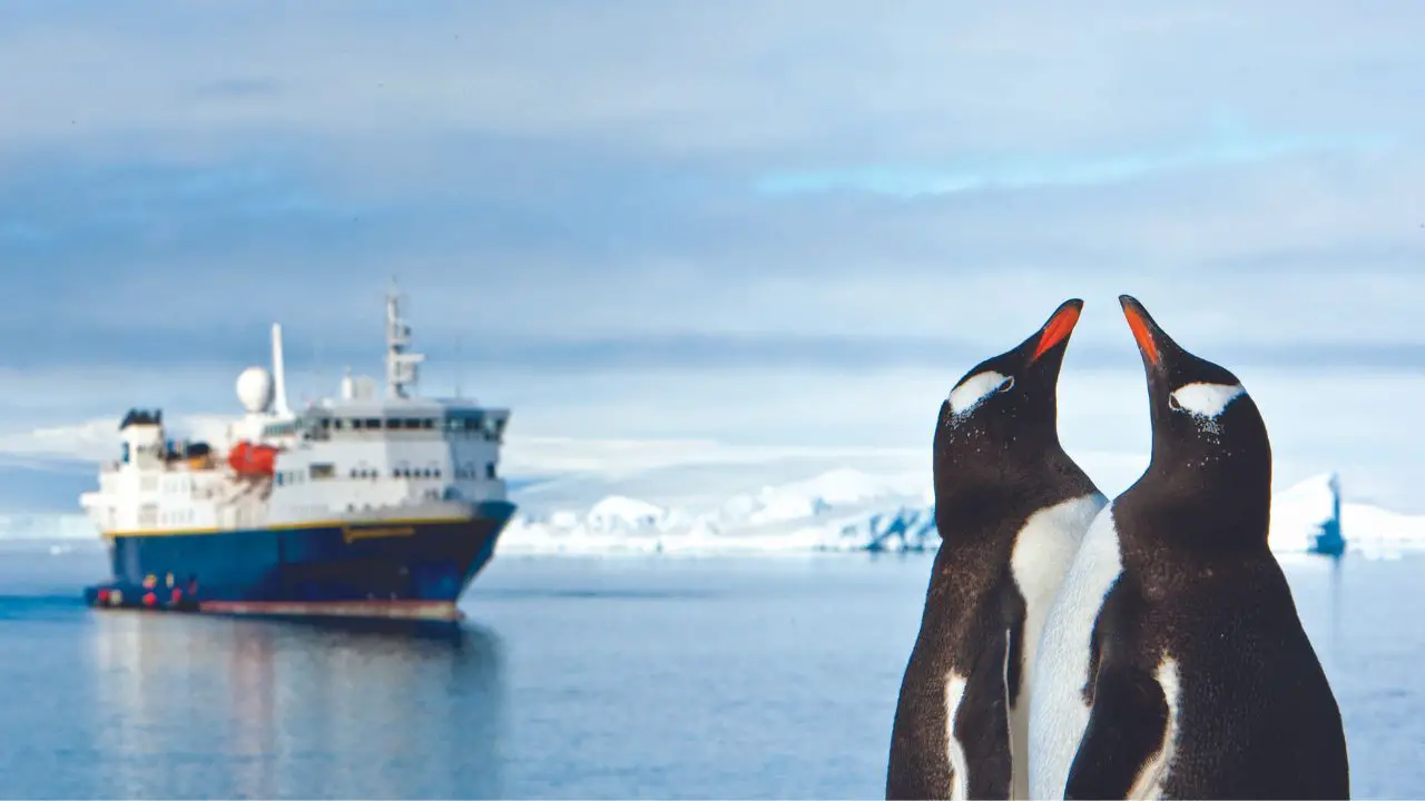 Take the Trip of a Lifetime to Antarctica via the Drake Passage With National Geographic Expeditions