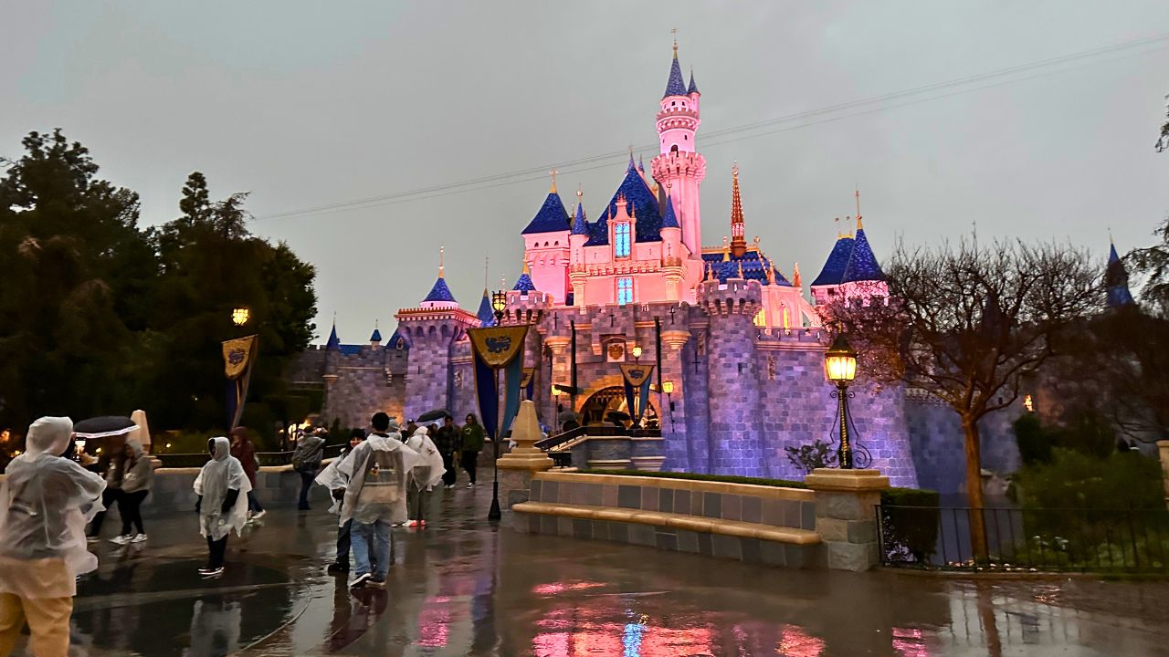 Disneyland Resort Rain