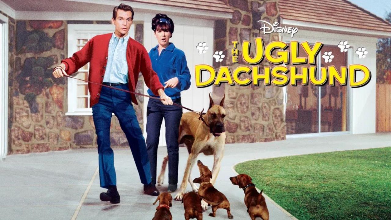 The Ugly Dachshund | DISNEY THIS DAY | February 16, 1966