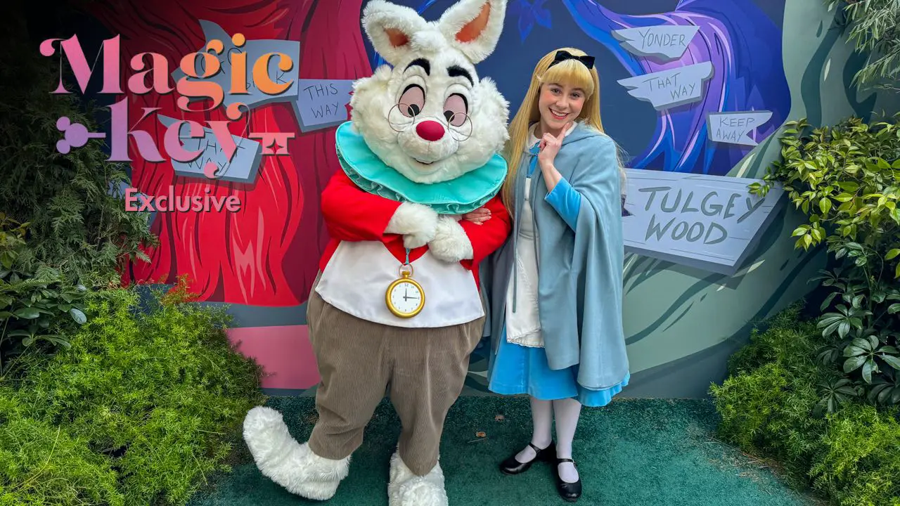 Disneyland Resort Provides Magical Experiences for Magic Key Holders