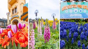 Celebrate Earth Month and Enjoy Spring Flowers at Shanghai Disney Resort
