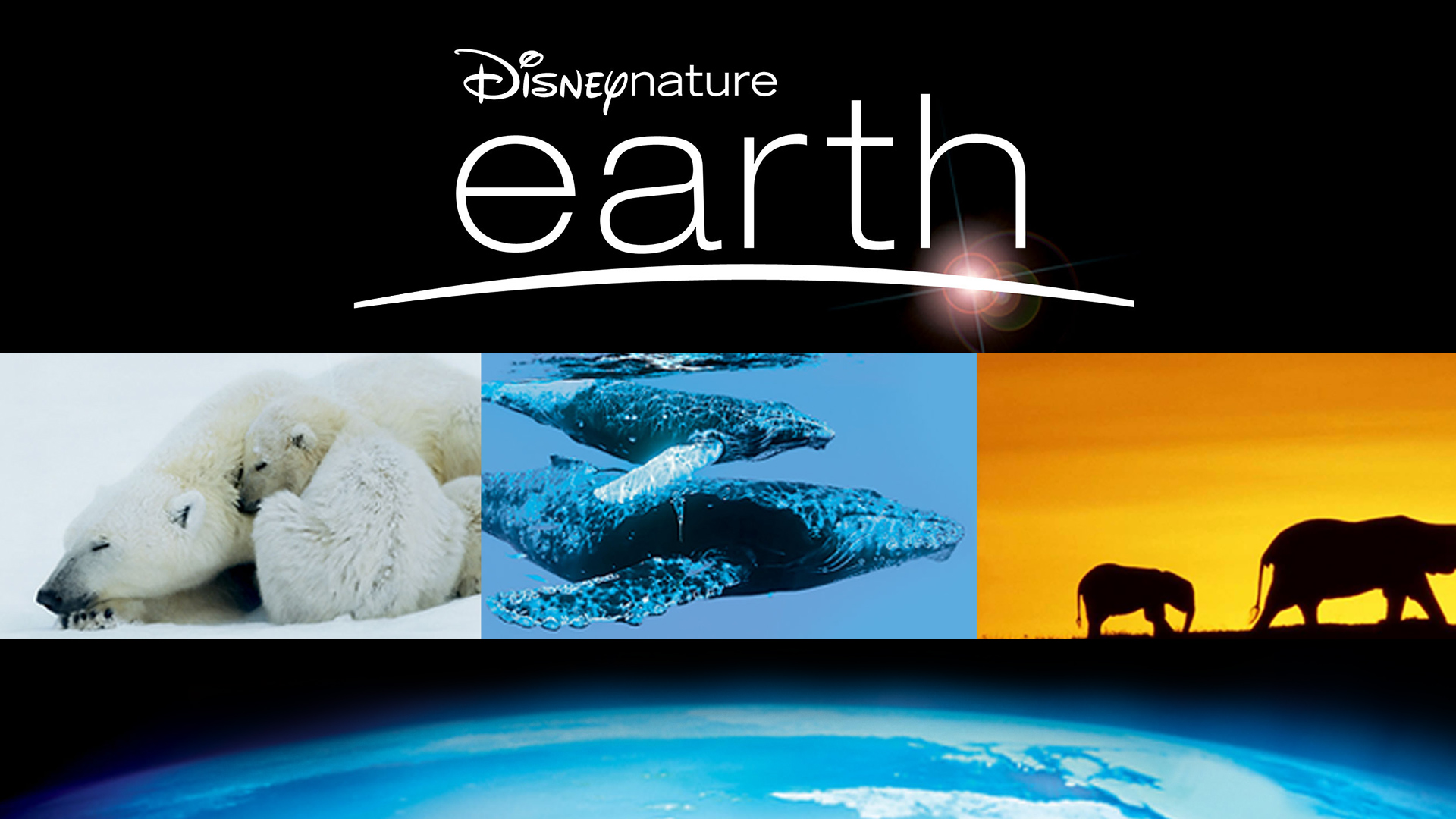 Disneynature earth | DISNEY THIS DAY | April 22, 2009
