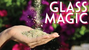 Recycled Glass Helps Disney Plants Grow In Unique Way