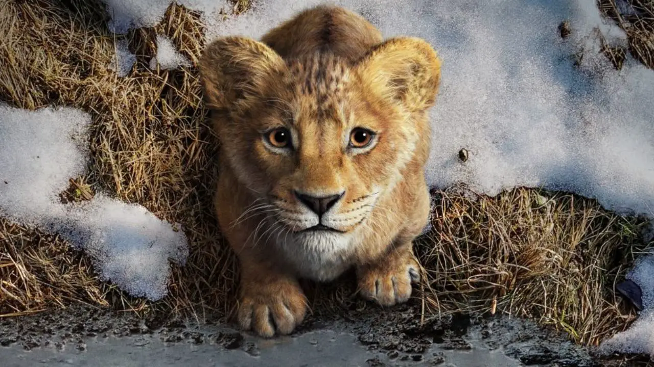 First Teaser Trailer for ‘Mufasa: The Lion King’ Released by Disney